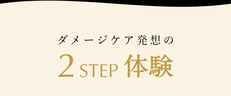 ダメージケア発想の２STEP体験