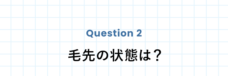 Question 2　毛先の状態は？