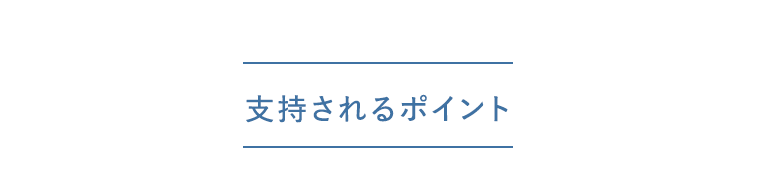 支持されるポイント