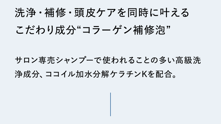 洗浄・補修・頭皮ケアを同時に叶えるこだわり成分“コラーゲン”補修泡
