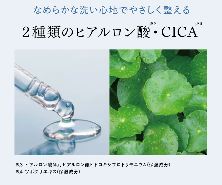 ２種類のヒアルロン酸・CICA