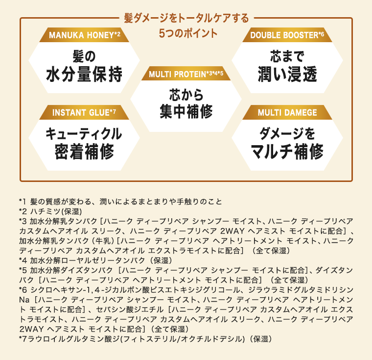 ５つのポイント