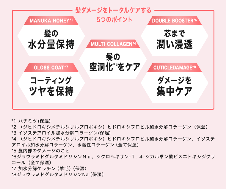 ５つのポイント