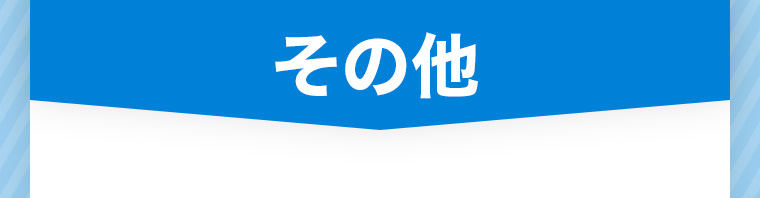 その他