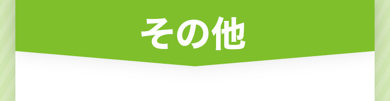 その他