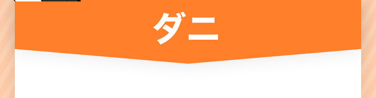 ダニ