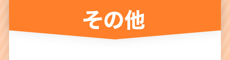その他