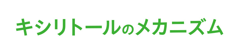 キシリトールのメカニズム