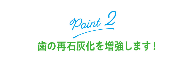 Point2 歯の再石灰化を増強します!