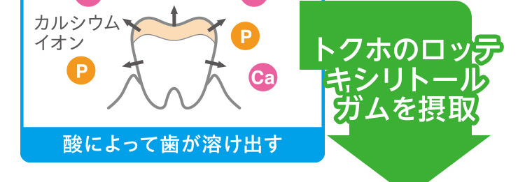 トクホのロッテキシリトールガムを摂取