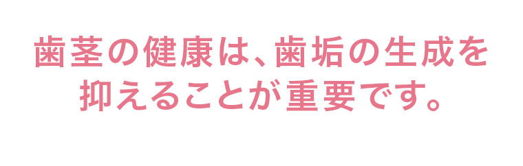 歯茎の健康は、歯垢の生成を抑えることが重要です。