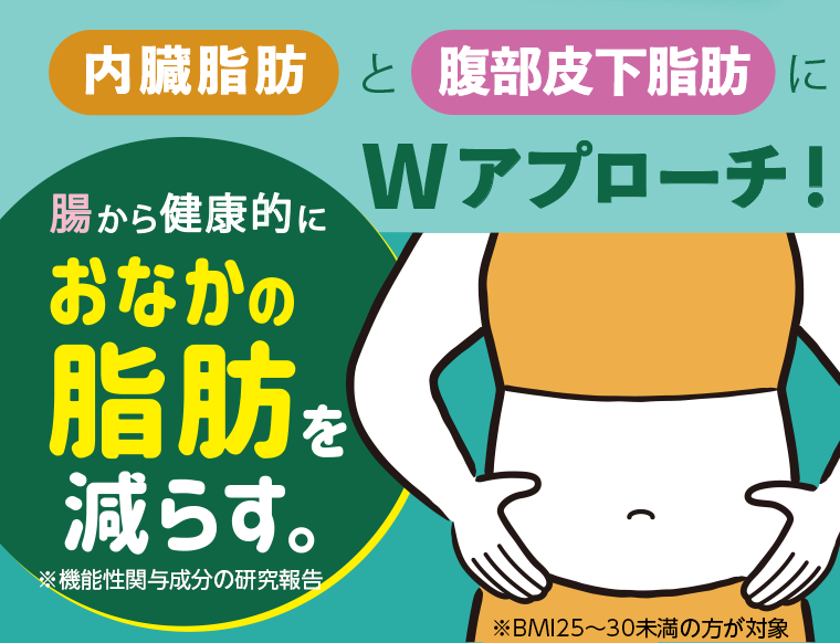 内臓脂肪と腹部皮下脂肪にWアプローチ！