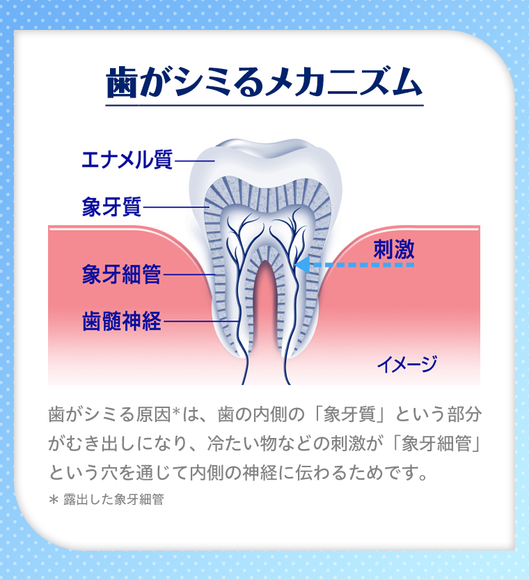 歯がシミるメカニズム