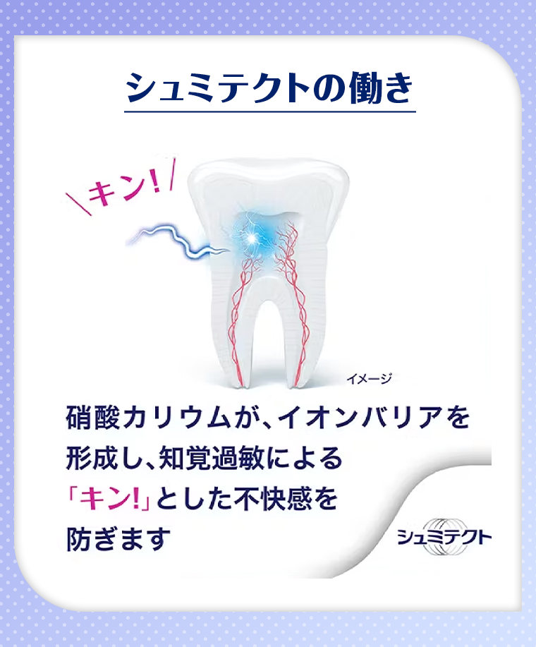 シュミテクトの働き