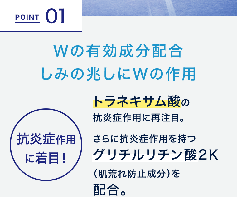 POINT 01　Wの有効成分配合　しみの兆しにWの作用