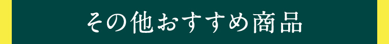 その他おすすめ商品
