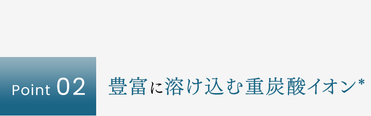 【Point 02】豊富に溶け込む重炭酸イオン*