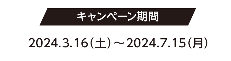 キャンペーン期間