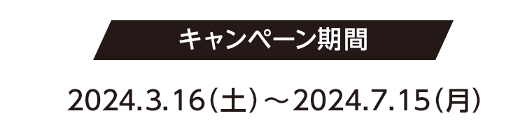 キャンペーン期間