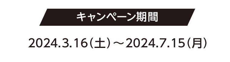 キャンペーン期間