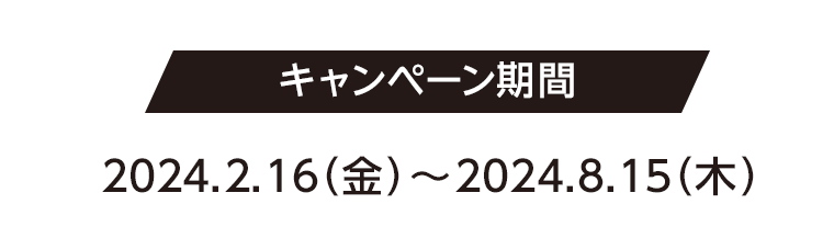 キャンペーン期間