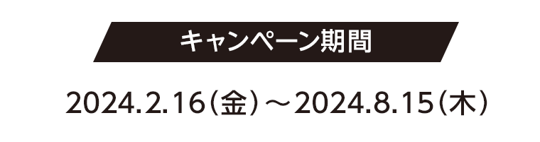 キャンペーン期間