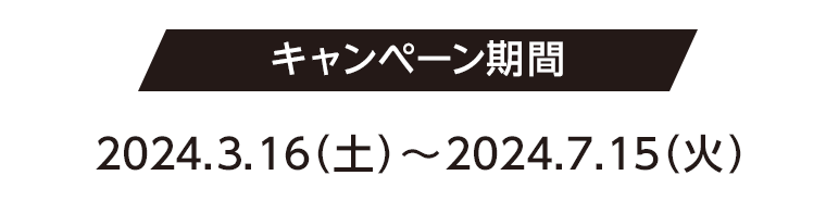 キャンペーン期間