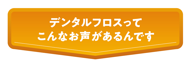 デンタルフロスってこんなお声があるんです
