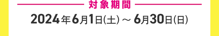 対象期間