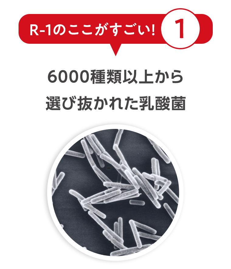 R-1のここがすごい！１　6000種類以上から選び抜かれた乳酸菌
