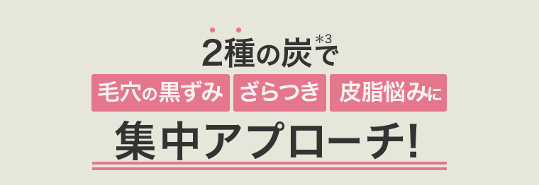２種の炭で集中アプローチ！