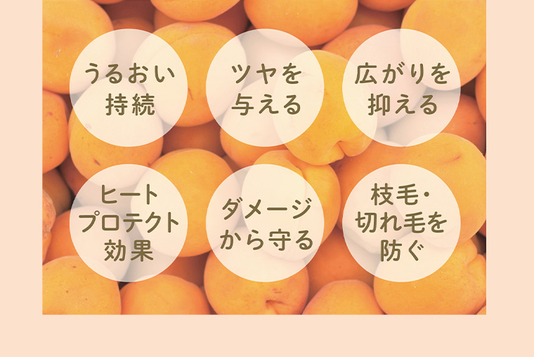 うるおい持続 ツヤを与える 広がりを抑える ヒートプロテクト効果 ダメージから守る 枝毛・切れ毛を防ぐ