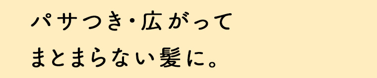 パサつき・広がってまとまらない髪に。