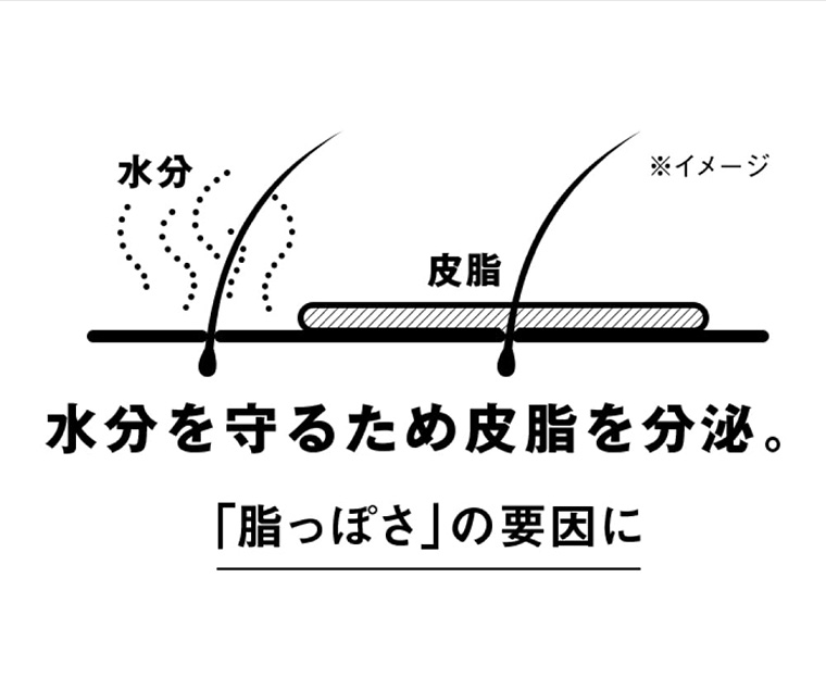 水分を守るため皮脂を分泌。「脂っぽさ」 の要因に
