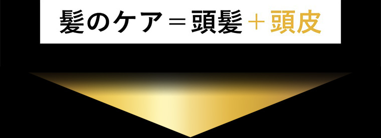 髪のケア=頭髪+頭皮
