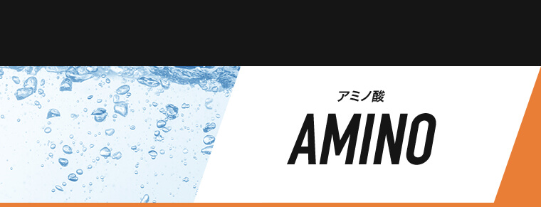 プロテインスナック サワークリーム味 プロテイン 22g