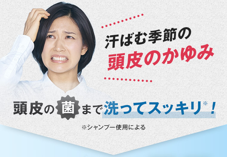 汗ばむ季節の頭皮のかゆみ 頭皮の菌まで洗ってスッキリ! ※シャンプー使用による