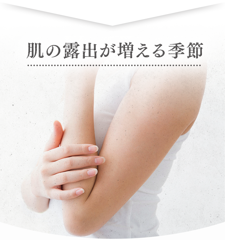 肌の露出が増える季節
