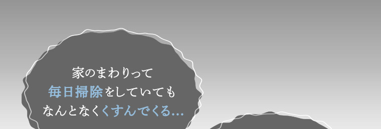 家のまわりって毎日掃除をしていてもなんとなくくすんでくる...