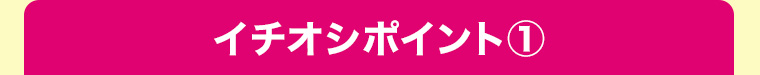 イチオシポイント1