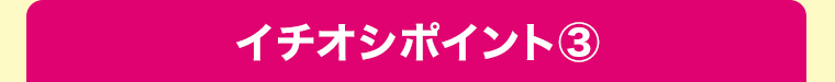 イチオシポイント3