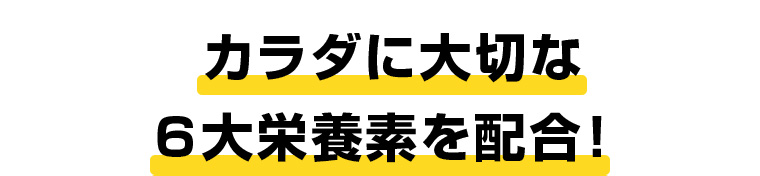 カラダに大切な6大栄養素を配合!