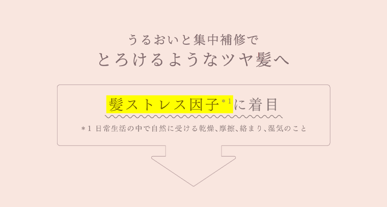 髪ストレス因子に着目