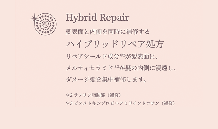 ハイブリッドリペア処方