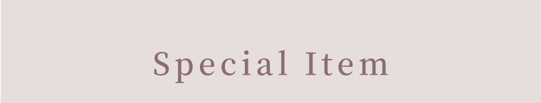 Special Item