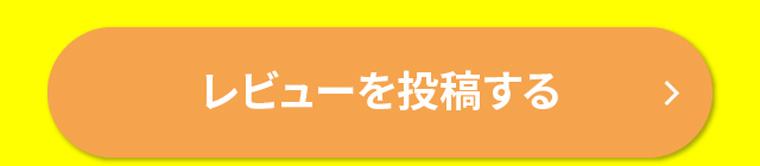 レビューを投稿する