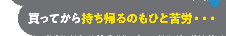 買ってから持ち帰るのもひと苦労・・・