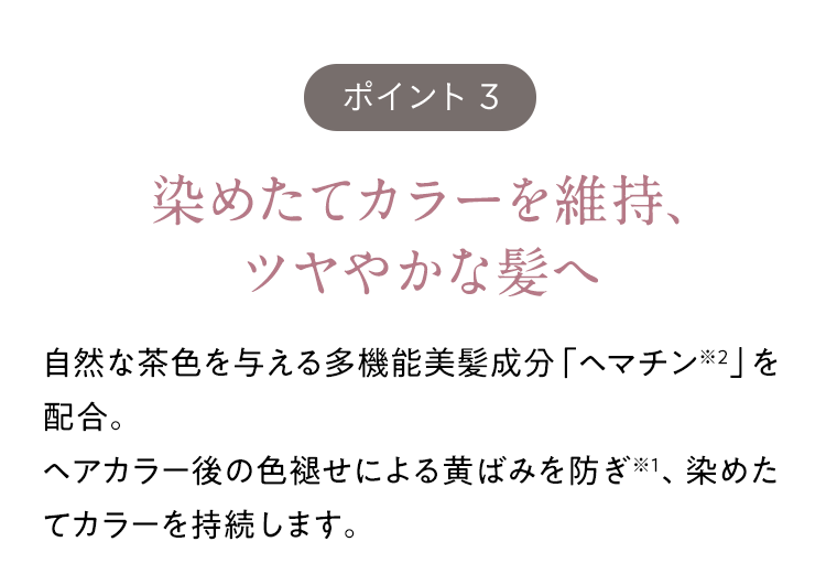 ポイント３