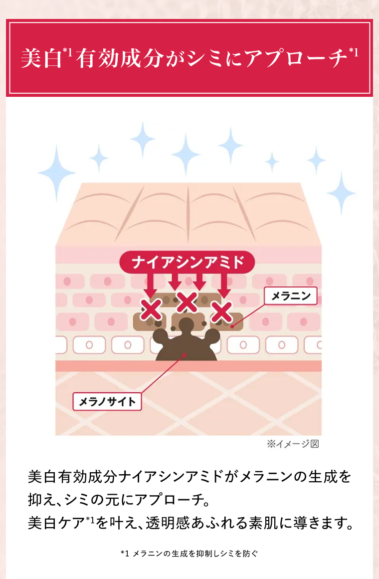 美白有効成分がシミにアプローチ