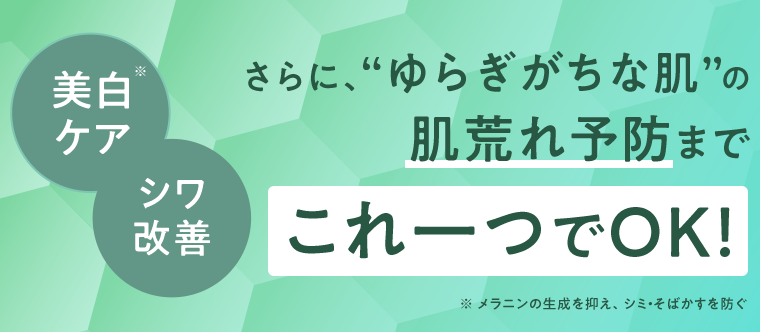 これ一つでOK！